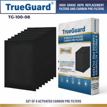 Load image into Gallery viewer, TG 100-08