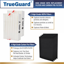 Load image into Gallery viewer, TG 200-24