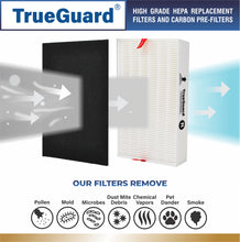 Load image into Gallery viewer, TG 100-28