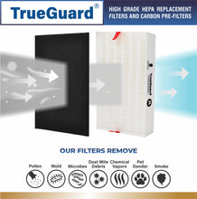 Load image into Gallery viewer, TG 100-08