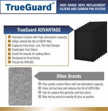 Load image into Gallery viewer, TG 100-08