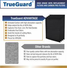 Load image into Gallery viewer, TG 300-04